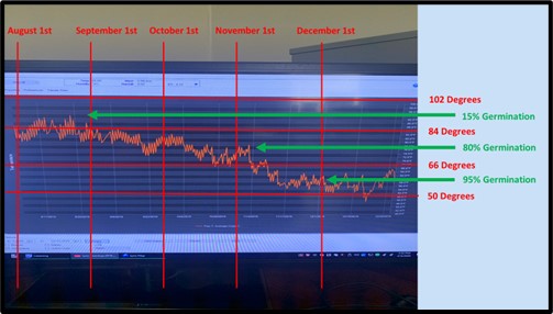 Computer graph_weed germination temp.jpg